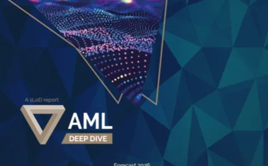 AML DD 2025 PER Cover