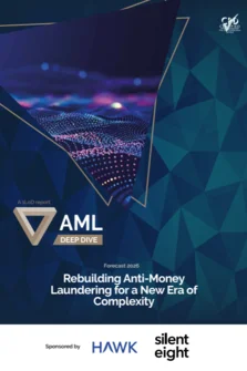 AML DD 2025 PER Cover