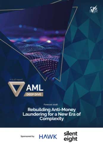 AML DD 2025 PER Cover